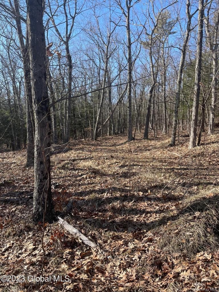 L26 & L27 Ecker Hollow Road thumbnail 29