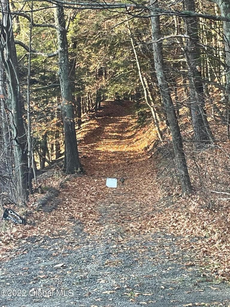 L26 & L27 Ecker Hollow Road thumbnail 2