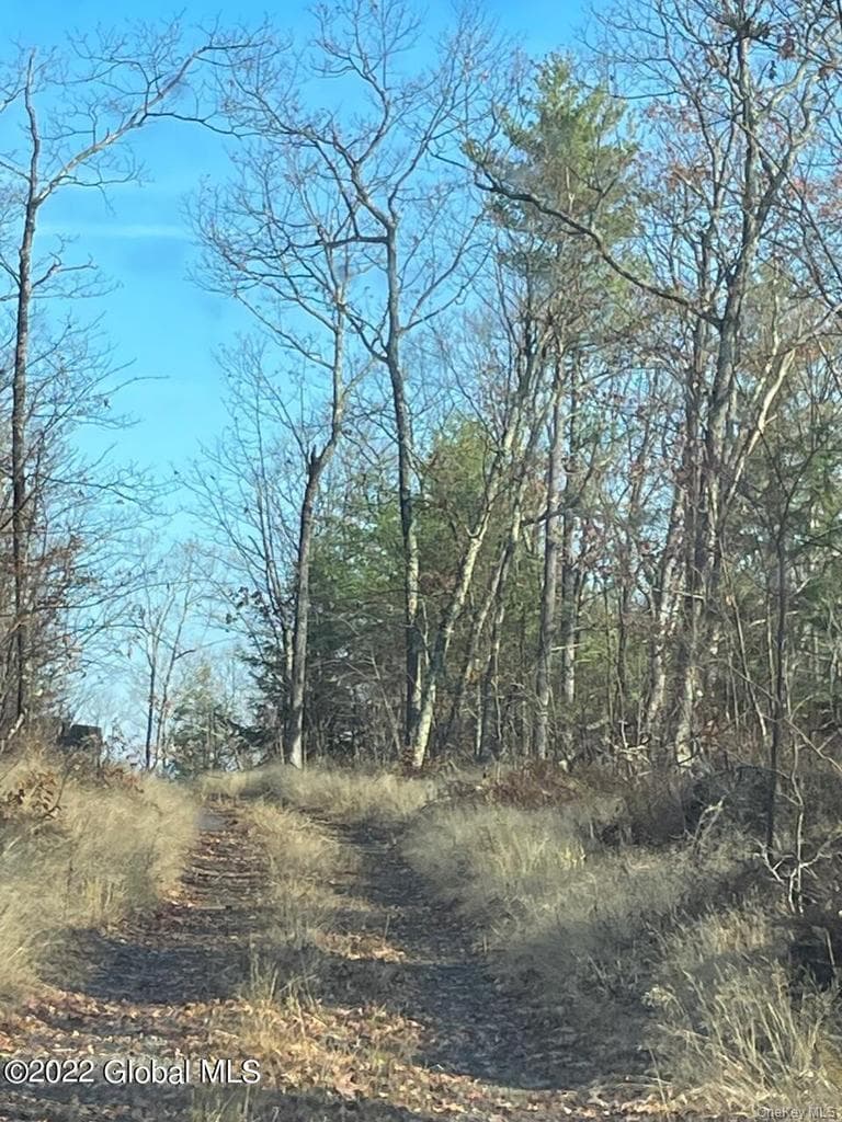 L26 & L27 Ecker Hollow Road thumbnail 3