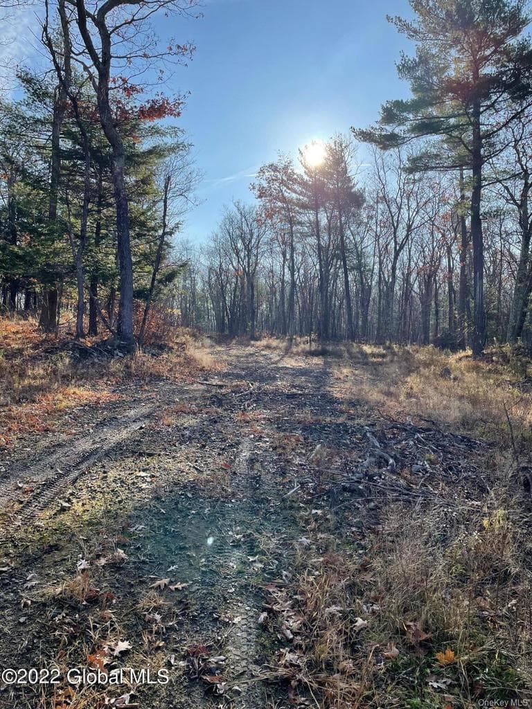 L26 & L27 Ecker Hollow Road thumbnail 9