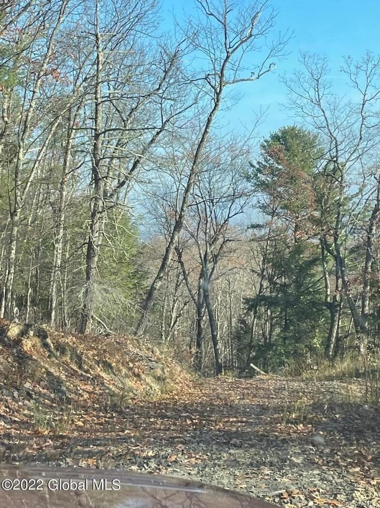 L26 & L27 Ecker Hollow Road thumbnail 19