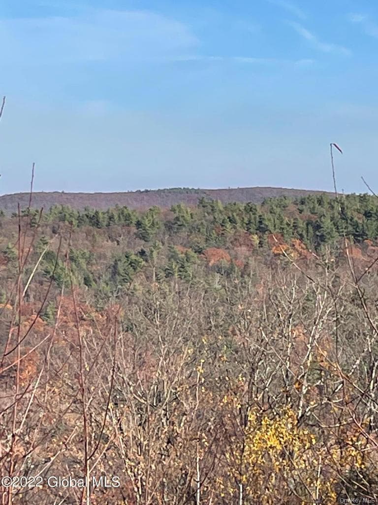 L26 & L27 Ecker Hollow Road thumbnail 14