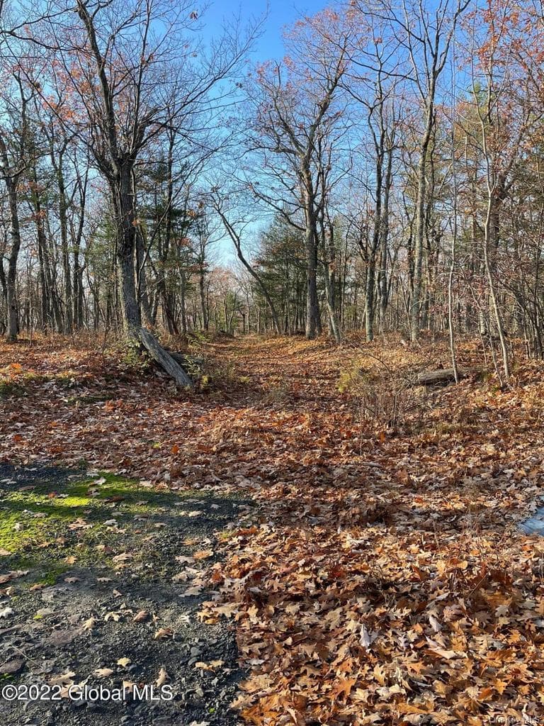 L26 & L27 Ecker Hollow Road thumbnail 8