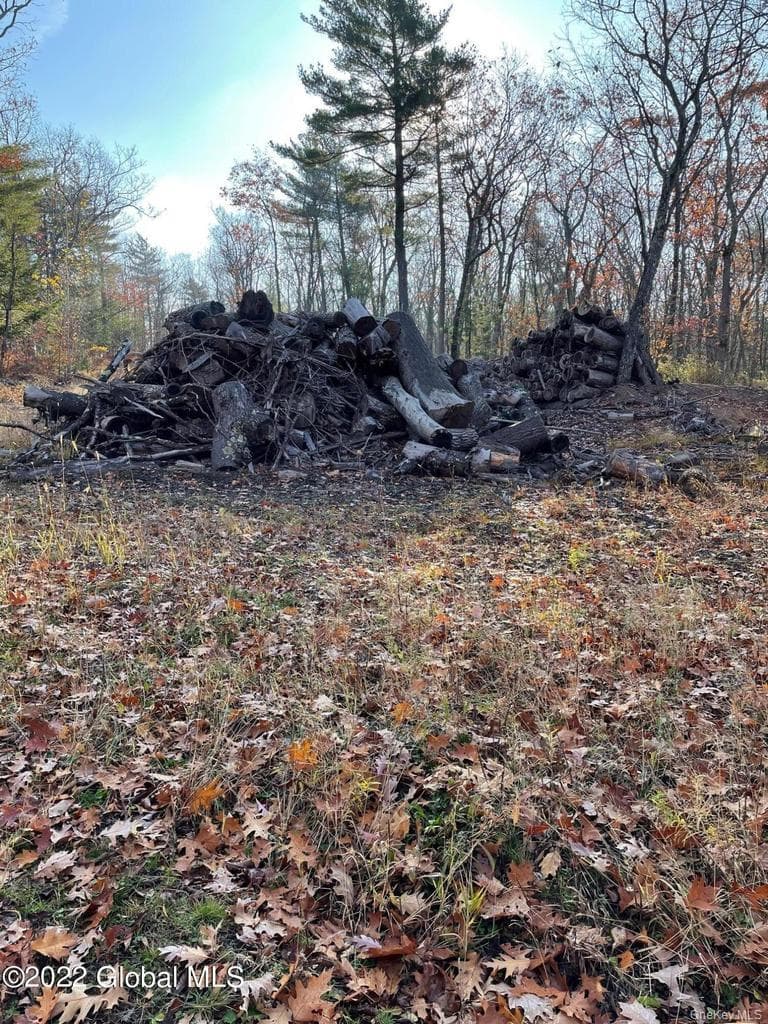 L26 & L27 Ecker Hollow Road thumbnail 36
