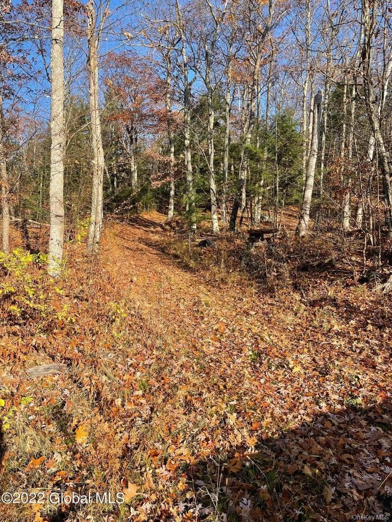 L26 & L27 Ecker Hollow Road thumbnail 11