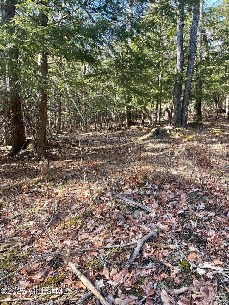 L26 & L27 Ecker Hollow Road thumbnail 33