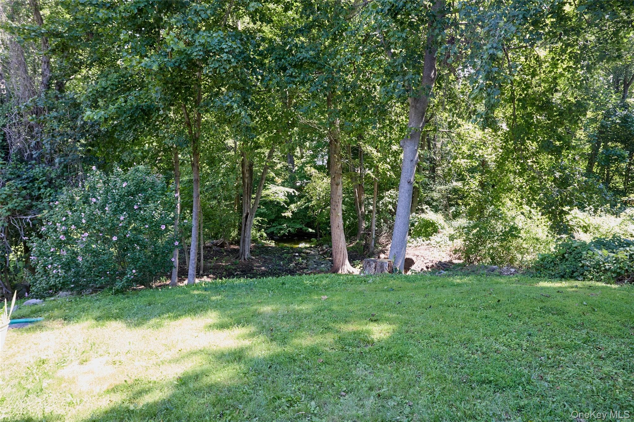 28 Brewster Drive thumbnail 42