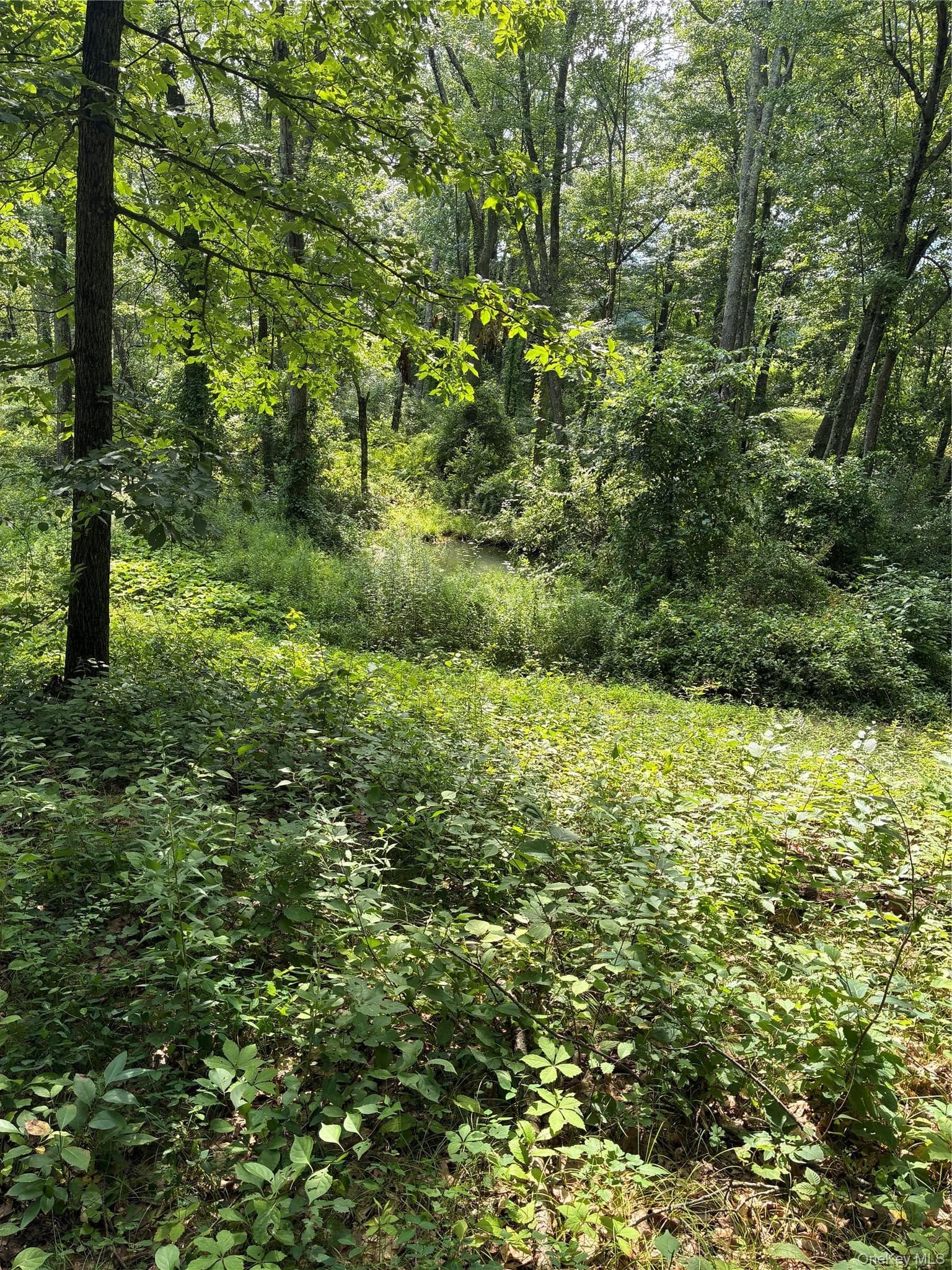 207 Pleasantvale Road thumbnail 8