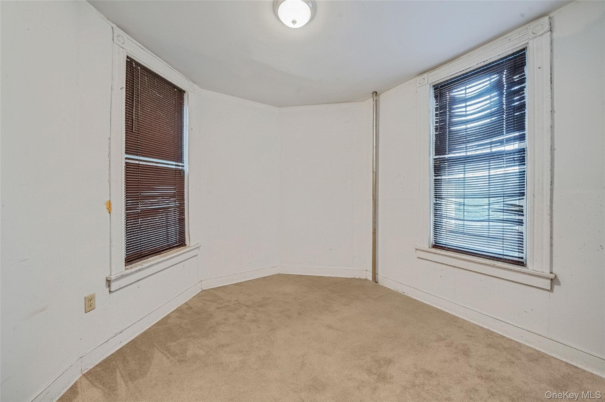 852 Blake Avenue thumbnail 25