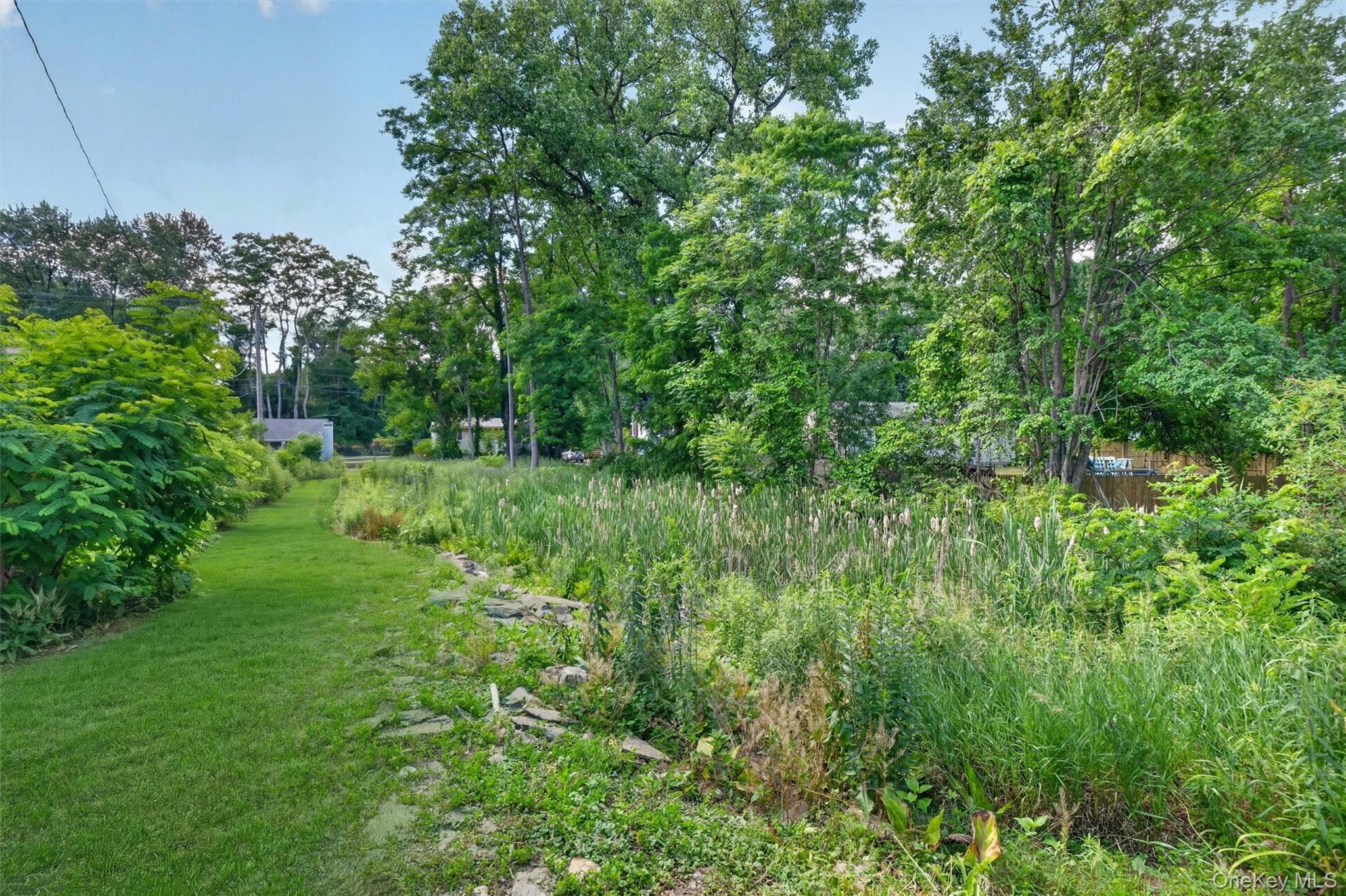 262 Linden Avenue thumbnail 4