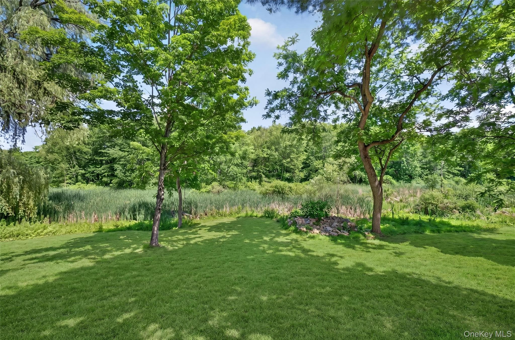 262 Linden Avenue thumbnail 32