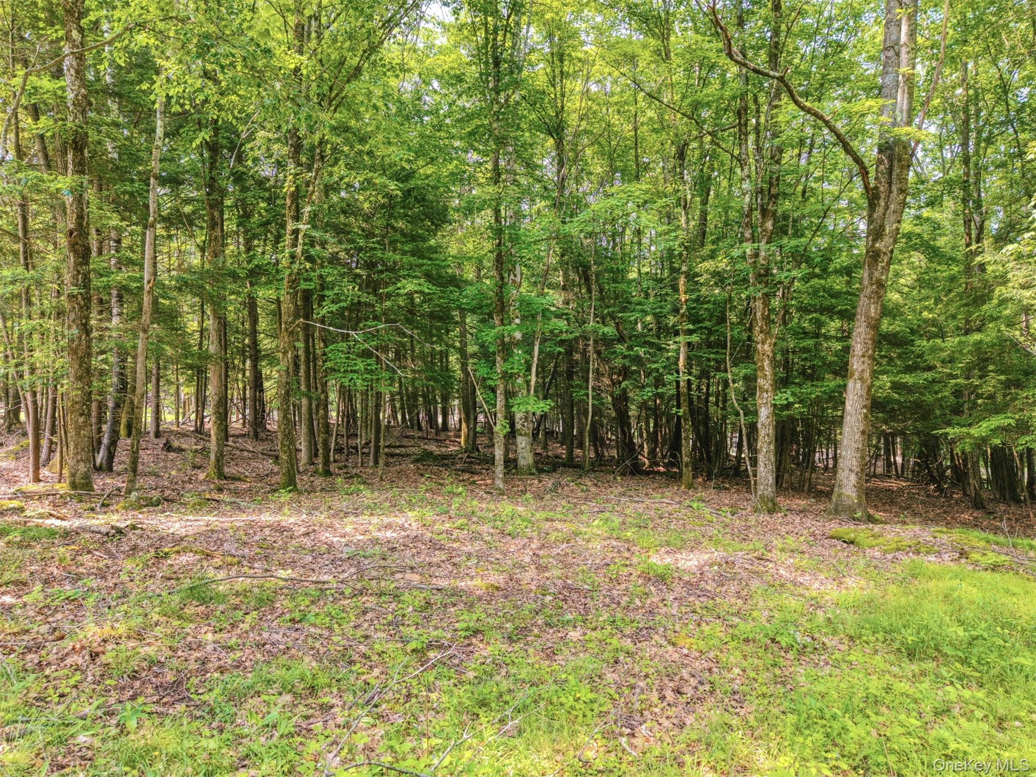 TBD Boulder Brook Lots 33-38 Road thumbnail 16