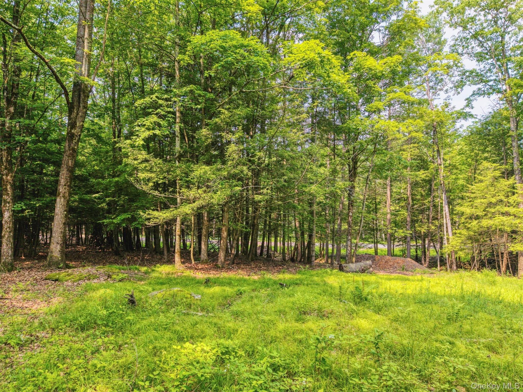 TBD Boulder Brook Lots 33-38 Road thumbnail 15