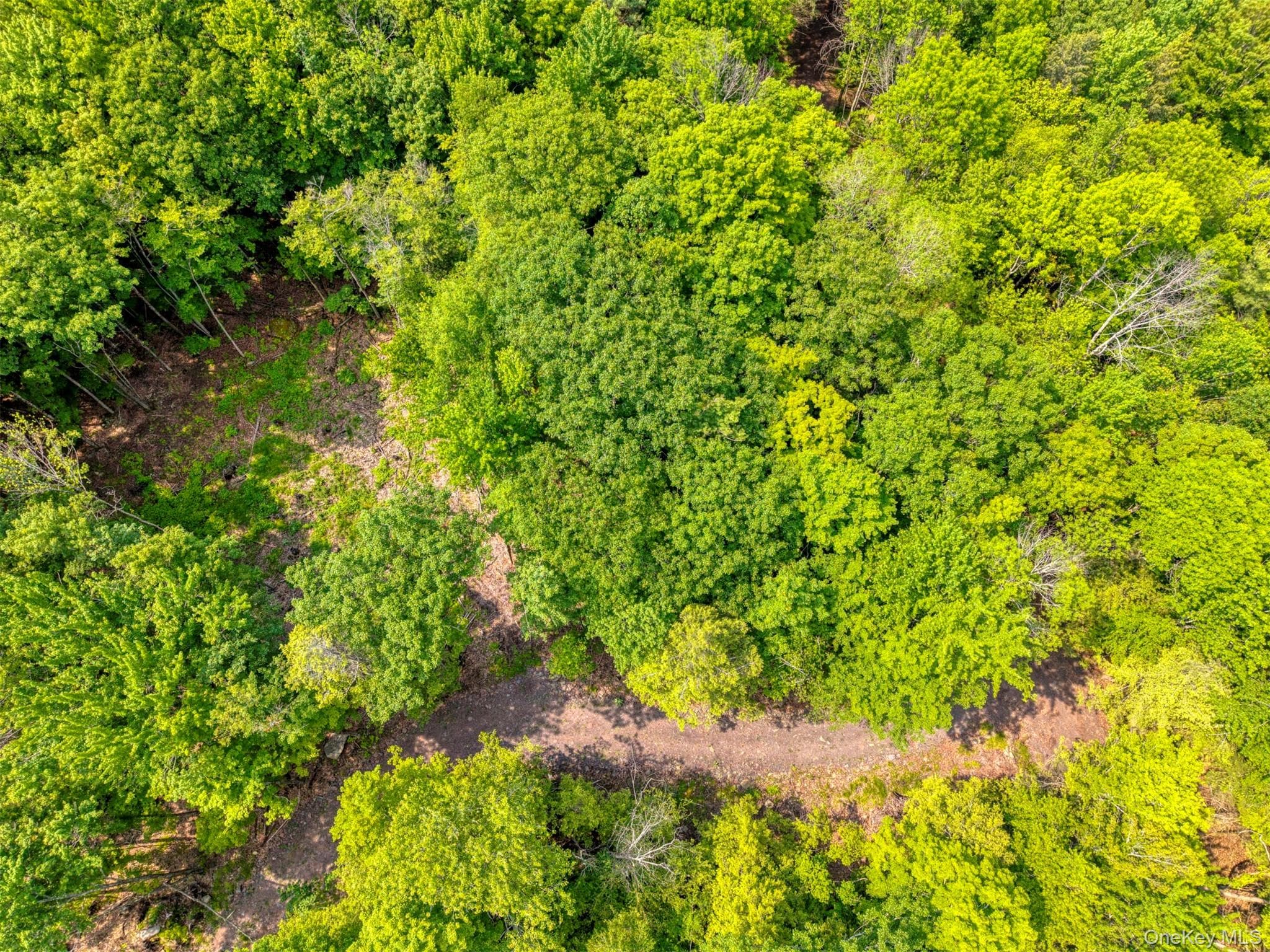 TBD Boulder Brook Lots 33-38 Road thumbnail 34