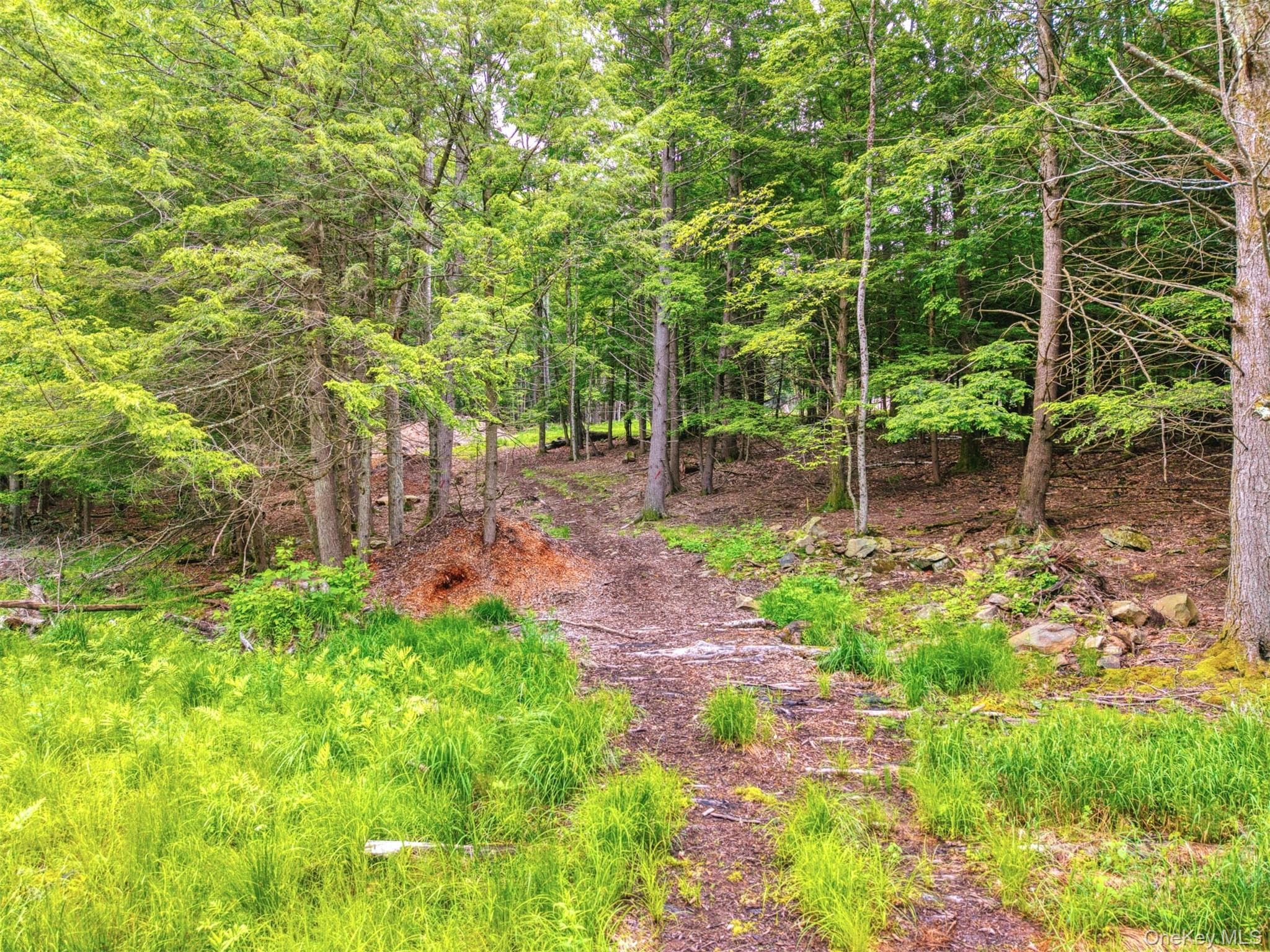 TBD Boulder Brook Lots 33-38 Road thumbnail 18