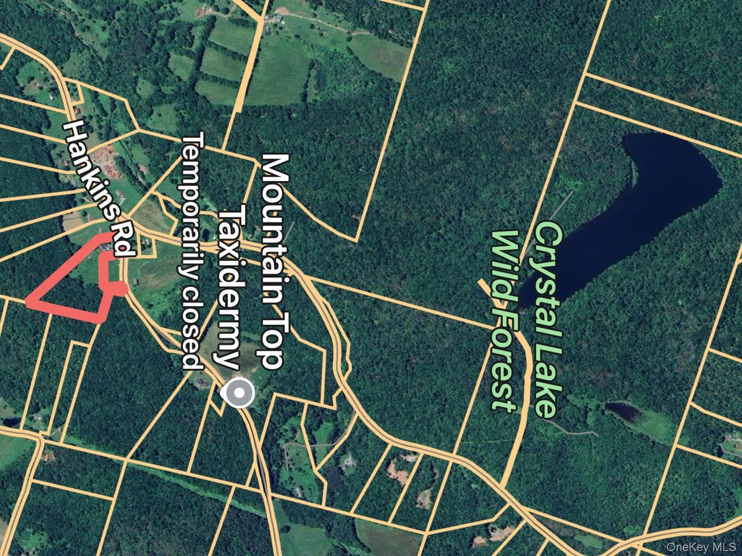 292 County Road 93 thumbnail 40