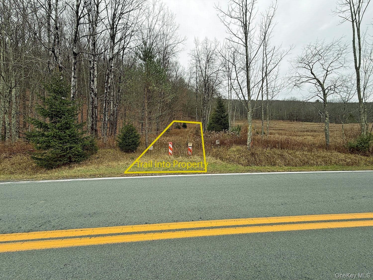 292 County Road 93 thumbnail 42