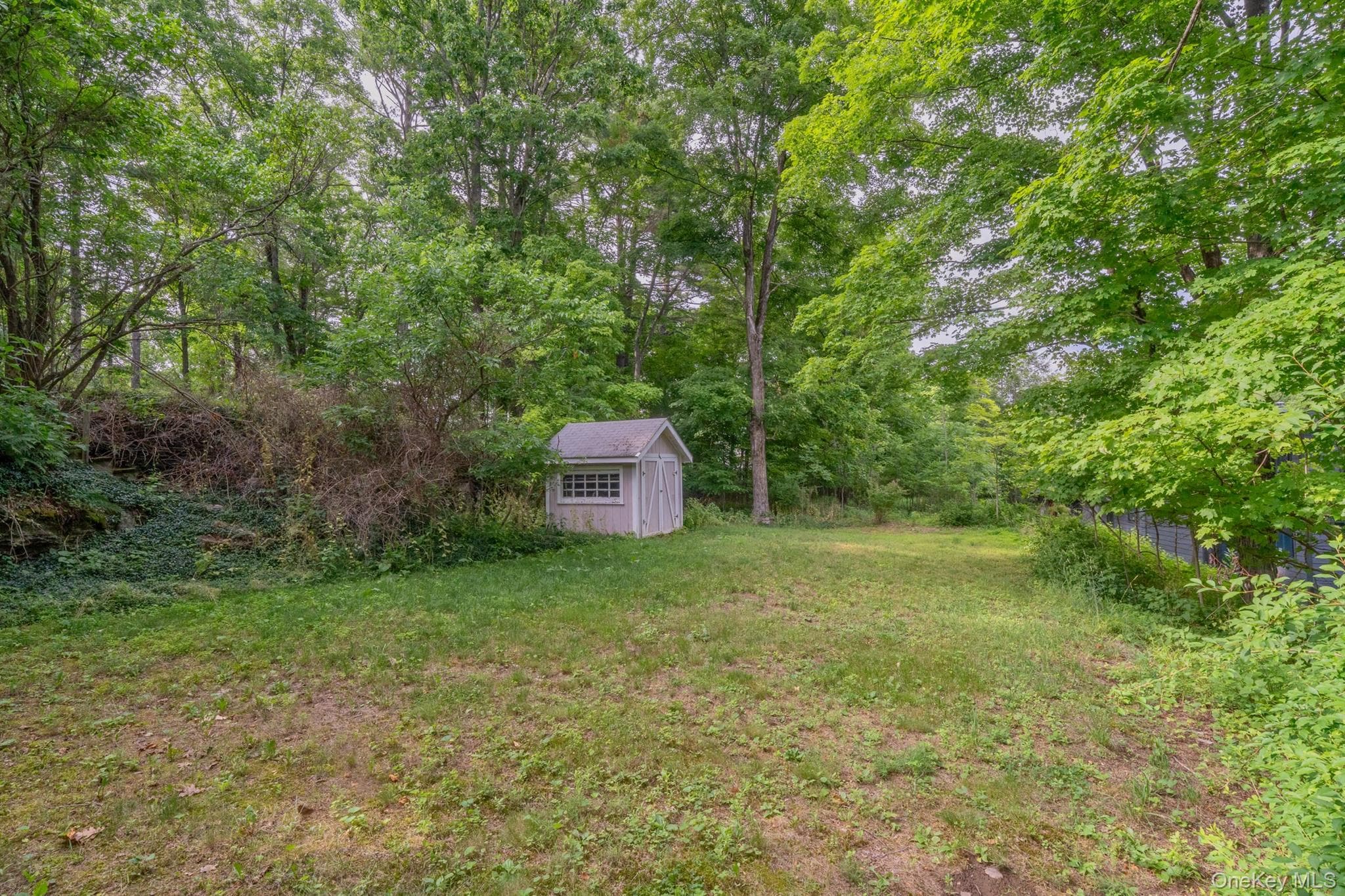 542 Blue Mountain Road thumbnail 44