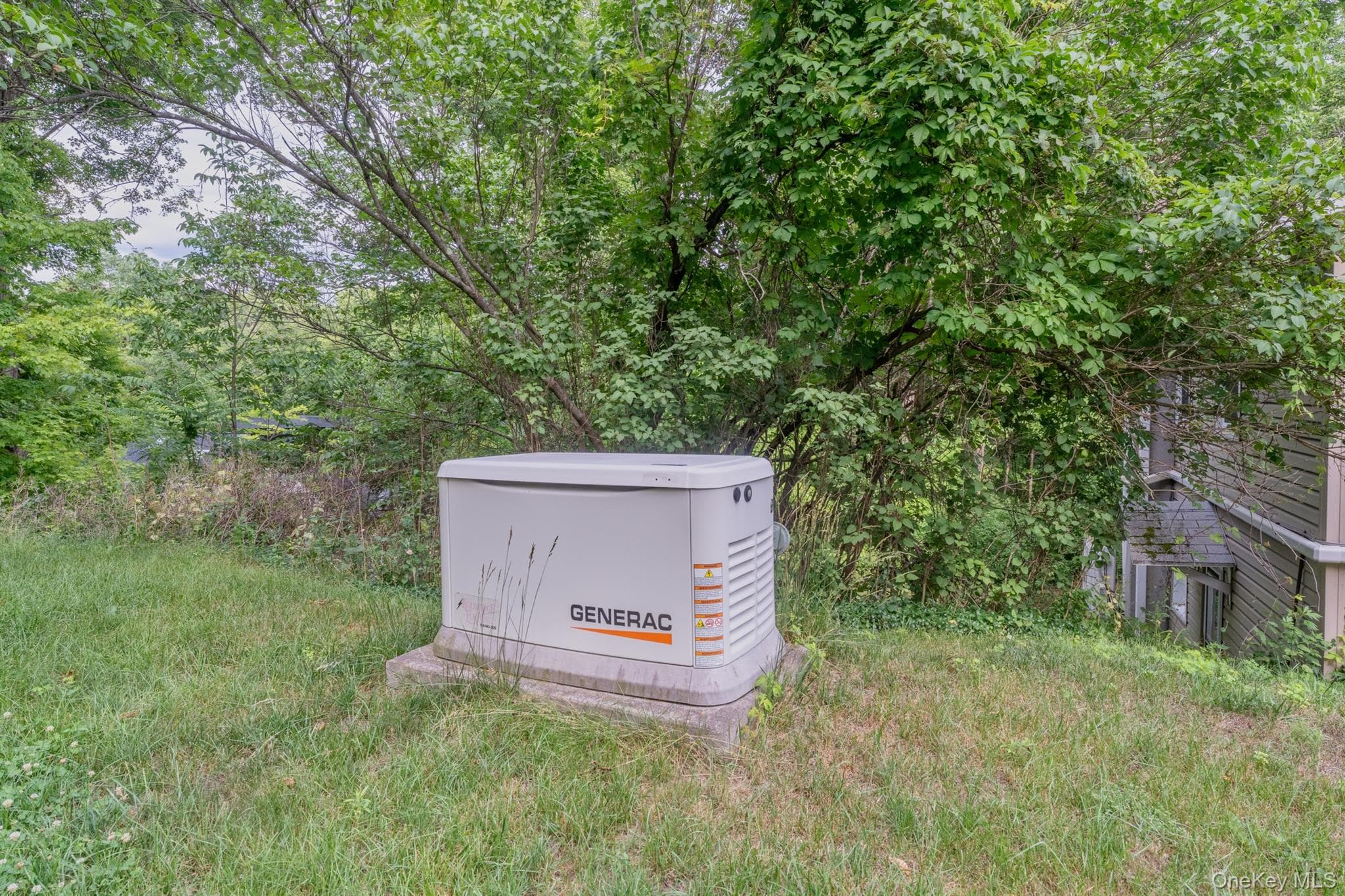 542 Blue Mountain Road thumbnail 40