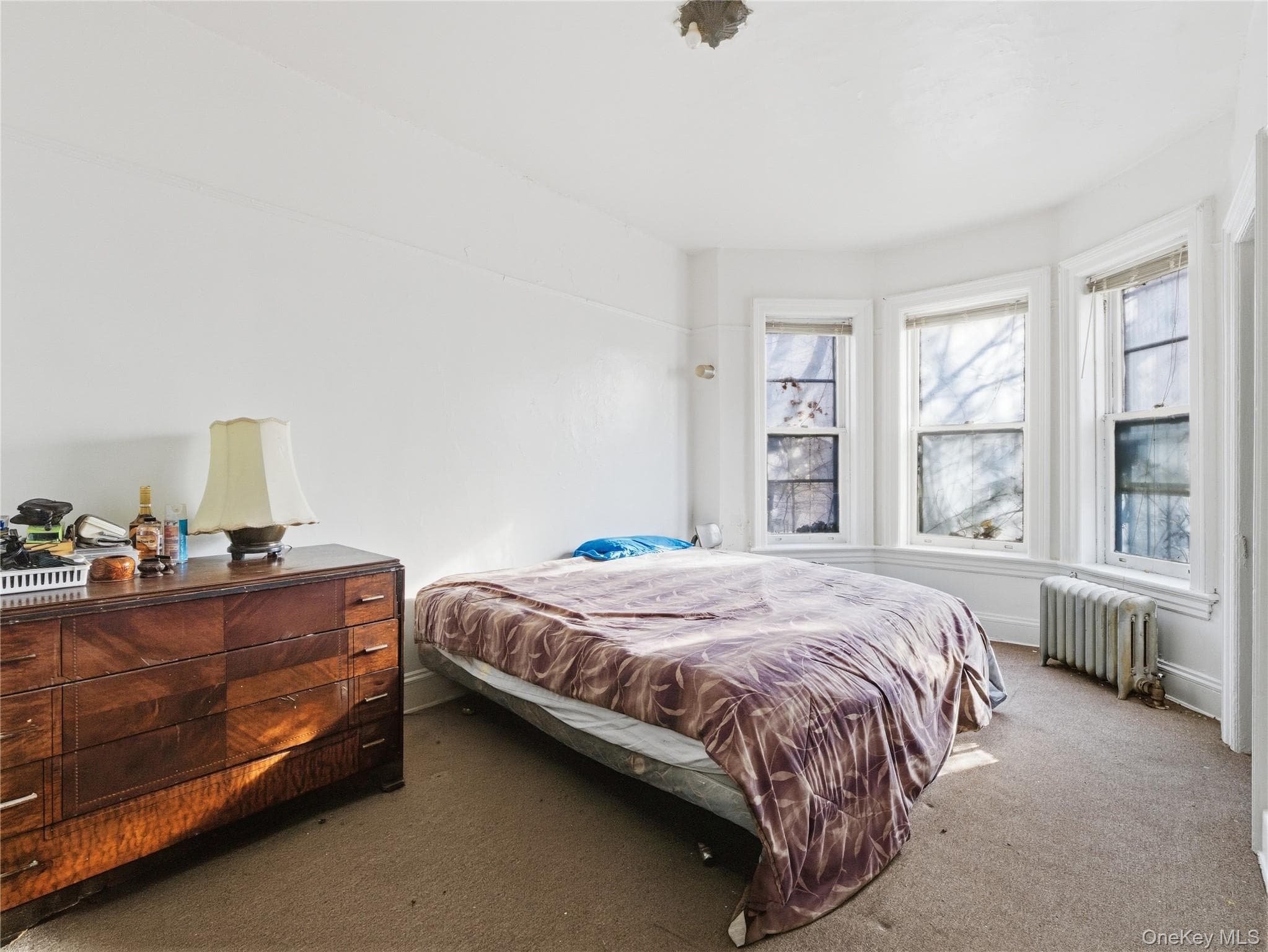 372 Parkside Avenue thumbnail 12
