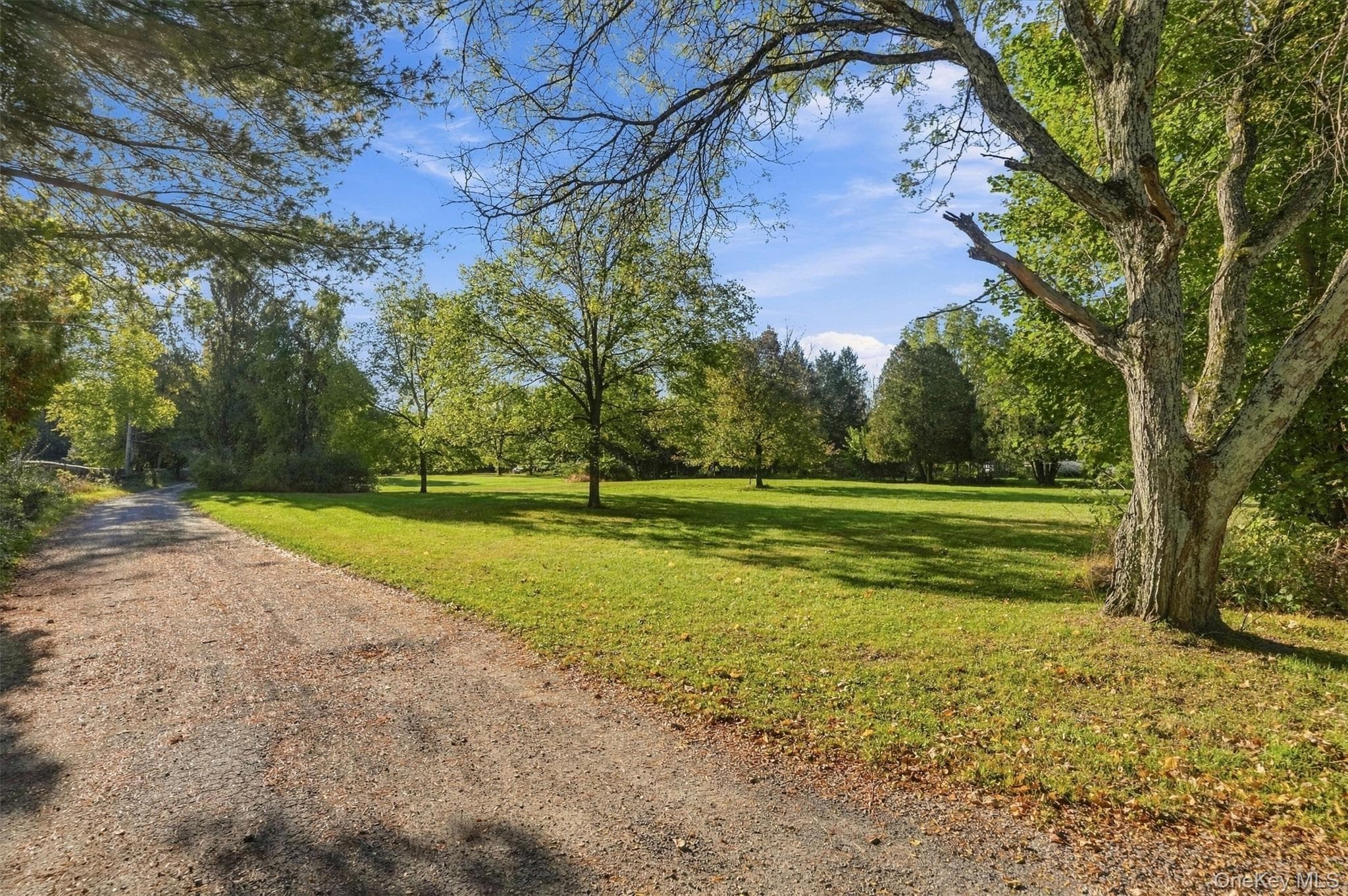 12 Lollypoppy Lane, Stone Ridge