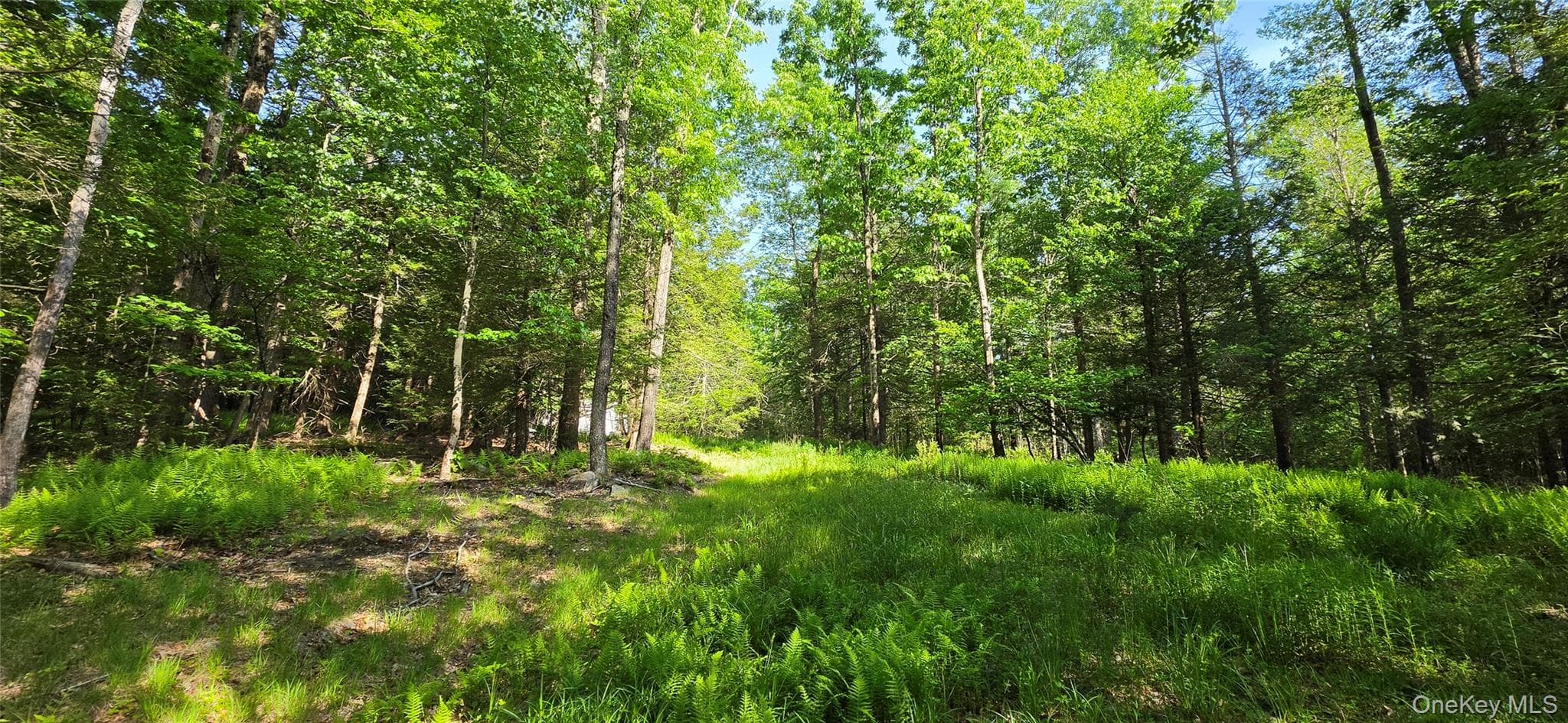 00 Church Aka Pan Am Road, Mountain Dale